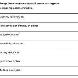 Question sentences negative change