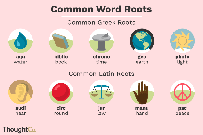 Words with the root word duc