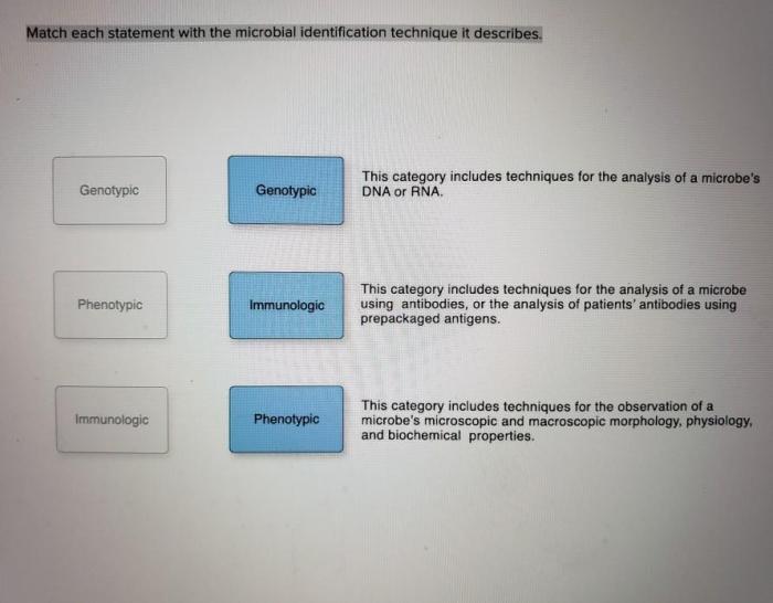 Match each statement with the microbial identification technique it describes