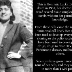 Henrietta lacks summary immortal life quote author favorite